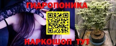 гидропоника Дубна