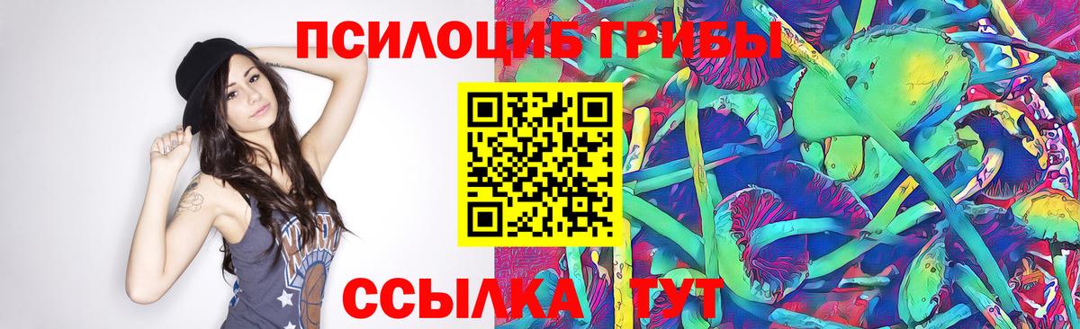 Минусинск  Галлюциногенные грибы мицелий  Вход с VPN 